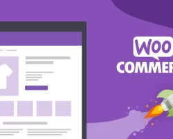 The Most Effective Method to Utilize WordPress WooCommerce Topics 10 Different Ways